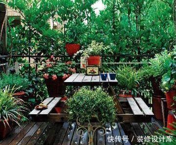  「有花赏」她用一年时间，把阳台变成小花园，四季有花赏，邻居看了都羡慕