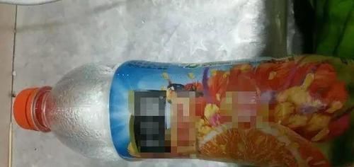 [下次]不起眼的塑料瓶，养花的神器，什么都能干，下次可不要丢了