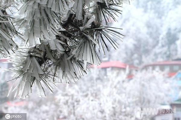 江西庐山迎来2019年入冬首场降雪和雾凇双景观