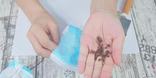  【调味品】吃了很多年花椒，他不只是调味品，还有好多妙用
