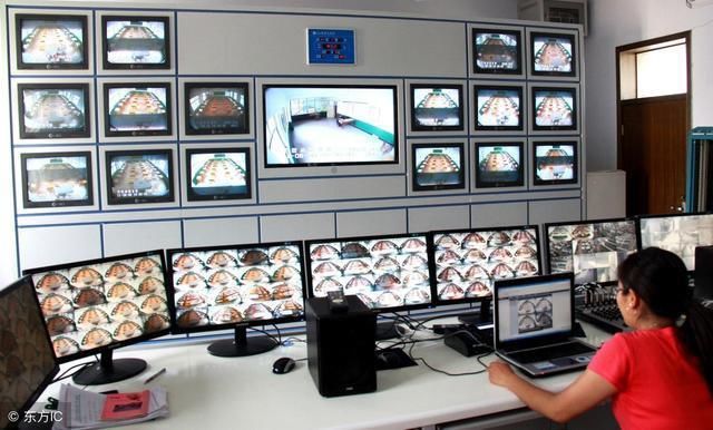 考不上本科怎么办?这些985大学也招收专科生