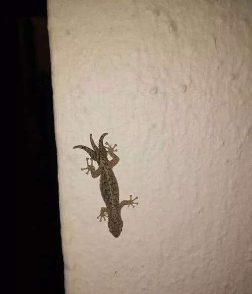 20张不可思议的照片，证明大自然无所不能！