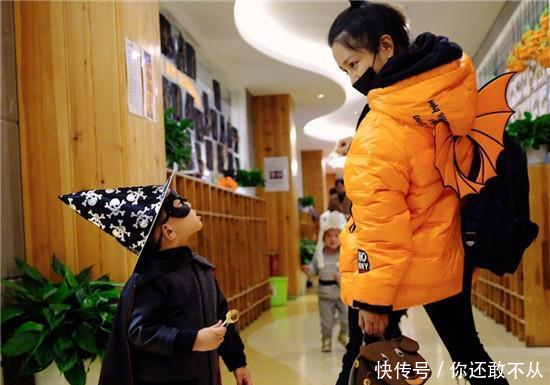 儿子被造谣, 何洁怒斥媒体“垃圾东西”, 网友评论扎心了