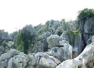 看尽鬼斧神工,有“世界最大的天然盆景”,秋季最好的观景之地哦