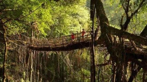 世界上最神奇的桥梁，没用一点钢筋水泥，走了500多年越走越安全