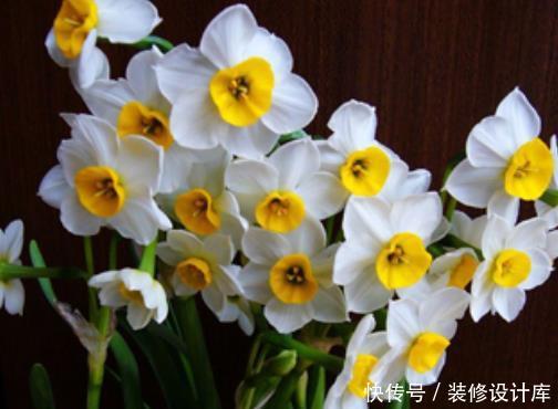 『家里』家里有这4种花赶紧扔,孩子误食会引起中毒,现在清楚不算迟