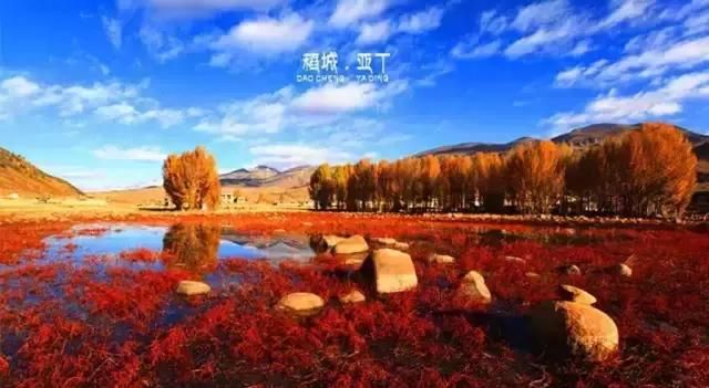 自驾318，四川13个必看美景