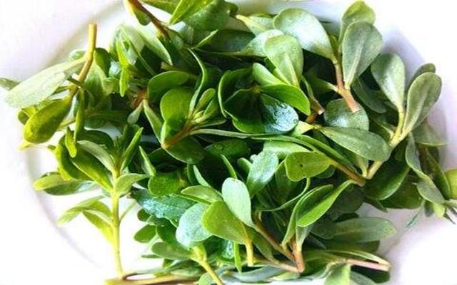 在农村一种常见的野草，在农村没人要，在城里却是高级货