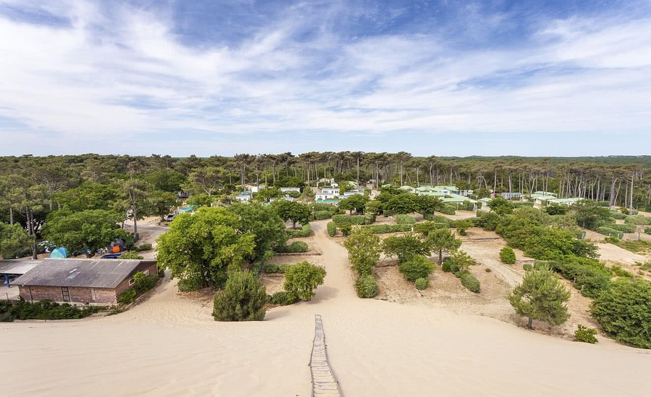 这个沙滩还会抢地盘，每年移动5米，至今已吞掉240公顷森林