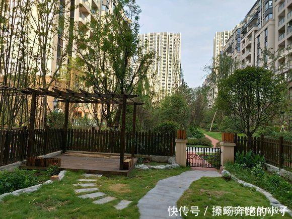  「李小姐还」她将荒芜的后院，改造成最美花园，完工一年后，让人惊艳