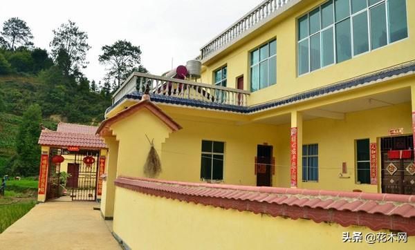 农村3类别墅将被强制拆除，2019年农村建房新规要提前了解