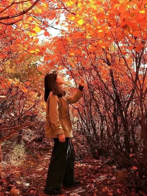 诗词：沁园春 秋