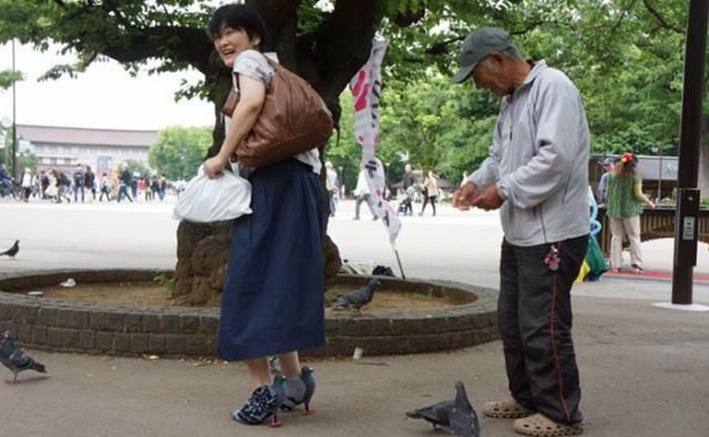  「鸽子」日本人发明的鸽子高跟鞋，穿上它真的可以近距离接触鸽子