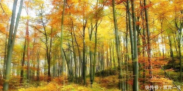  「我国」我国两个正在“消失”的地方，一个面积减少，一个人口