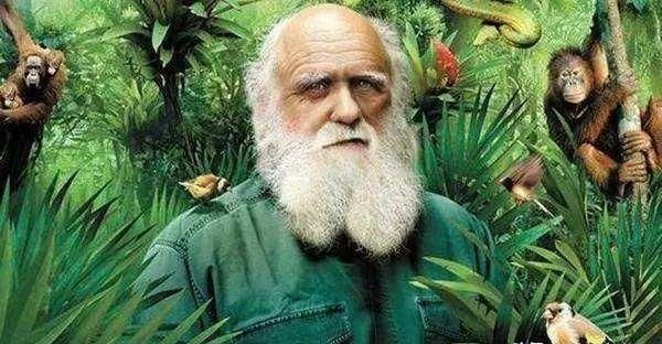 此地位于赤道地区，却有寒带动物生存，丰富物种启发达尔文进化论