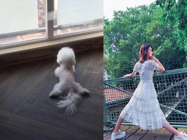 赵丽颖做孕妇不敢做的高难度动作，爱犬帮忙辟谣