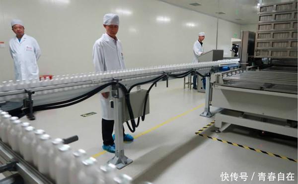 中国最恐怖工厂，竟然养了60亿只蟑螂，老外：中国人太聪明