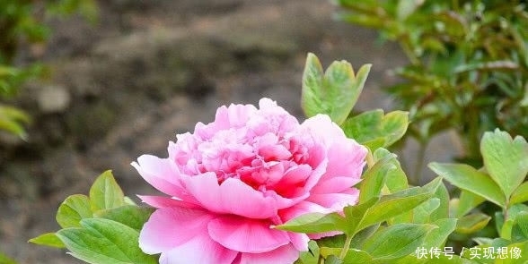「天生」“越活越年轻”的3生肖女,一个会保养,一个爱打扮,一个天生的