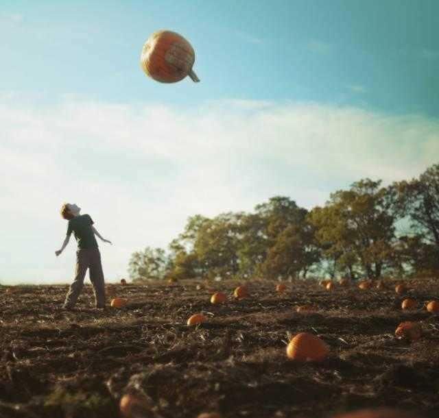 8岁开始摄影,没上过一天学的他,天才创作已超过2亿次点击