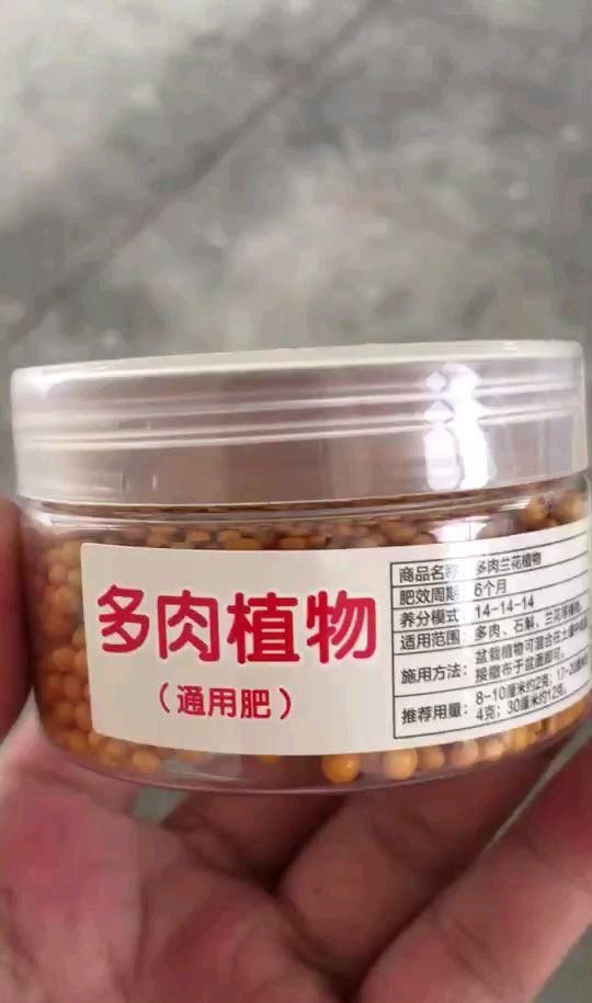  『吃饱』春天给花“喂口肥”，一次吃饱了，一整年都不缺肥
