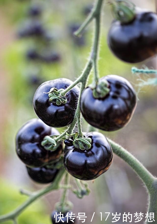 有一种水果，农民种了都舍不得吃，但是吃了会让人变美