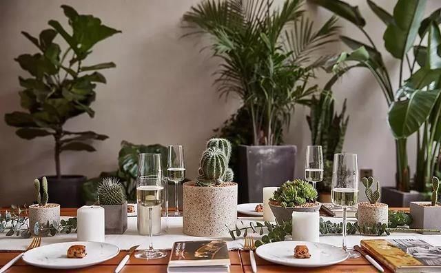 乡下房改造的民宿，民宿和庭院竟美成了这样了