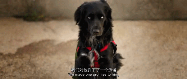  『世外桃源』豆瓣9.2，这「成人」的童话世界太疯狂