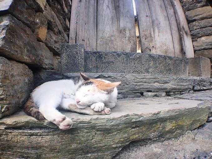 择一城终老，必是张家界与凤凰