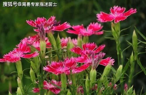  『商品』痣相算命： 少见商品，荣华富贵双全的好痣