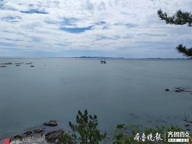 行走海岸线｜荣成这片诗意的海湾，竟是国家级的海洋牧场