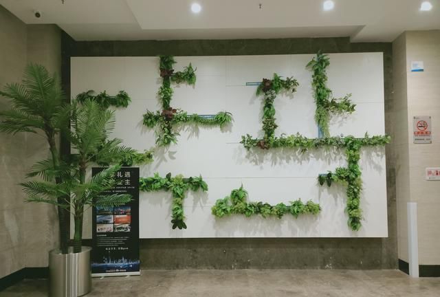 『评测』realme X50 Pro深度评测:除了畅快的5G,还有哪些亮点值得期待?