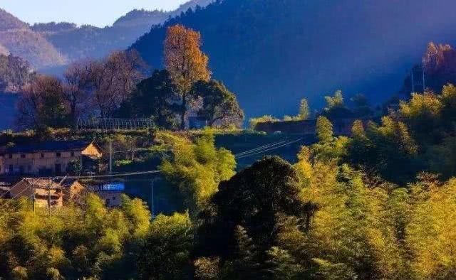 浙江不只有江南烟雨,这10个地方藏着浙江的绝美秋景