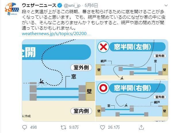  『没坏』终于知道为什么明明纱窗没坏虫子还会飞进来了！！学到了学到了！！