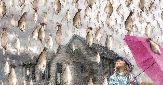 世界会下“海鲜雨”的国家，万条活鱼流入空中降落，是好还是坏？