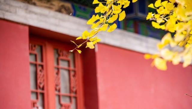 实拍伏羲的故乡，这里是华夏明的发源地，有超丰富的自然风光！