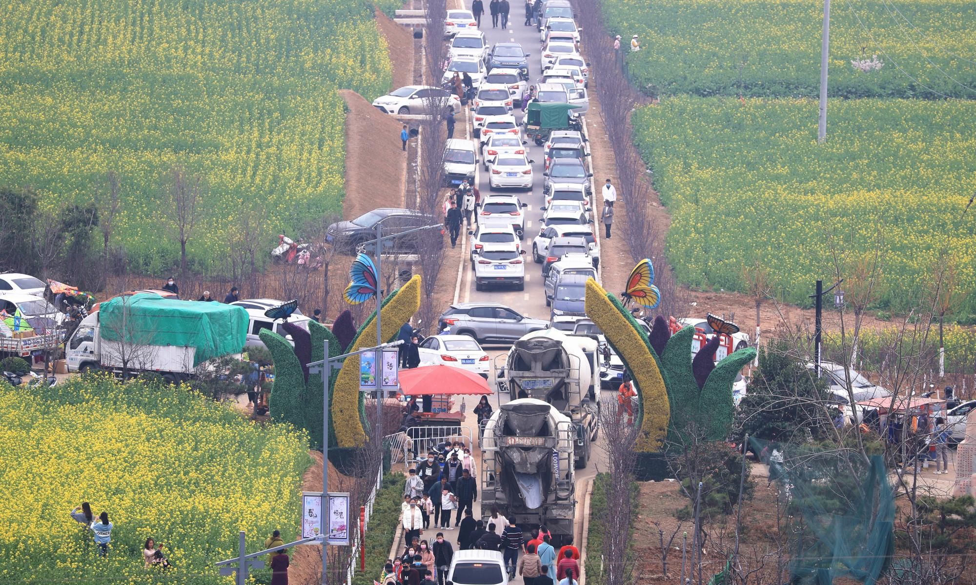  【小伙】临颍：小伙驱车50公里到首山看油菜花，人潮汹涌的场面让他惊呆了