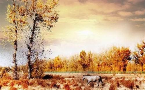 秋天，这个地方就会开启“油画”仙境模式，是房车自驾绝佳去处