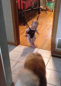 参加活动，姑娘穿着报纸做成的衣服，真是太时尚了