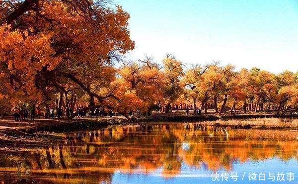 内蒙古最发达的5个城市,第5呼和浩特,第1鄂尔多斯