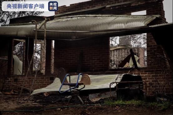 森林是一片森林吗