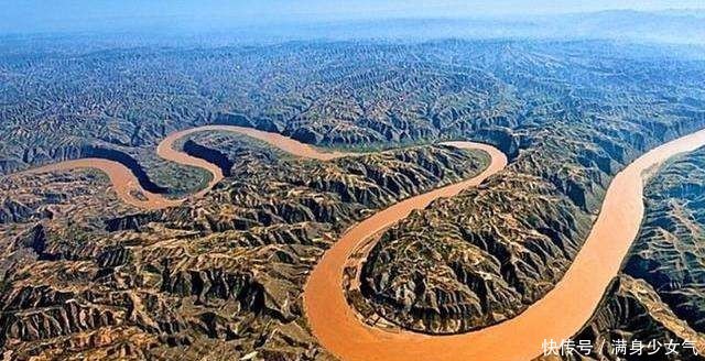 黄河入海口生长独特的“三春柳”，真想不到，它的种子竟来自这里