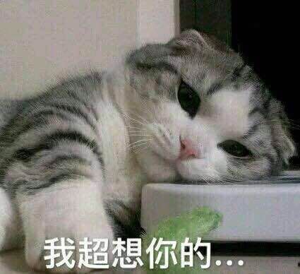  #老师#搞笑段子：你知道历史上最早的影迷是谁吗？