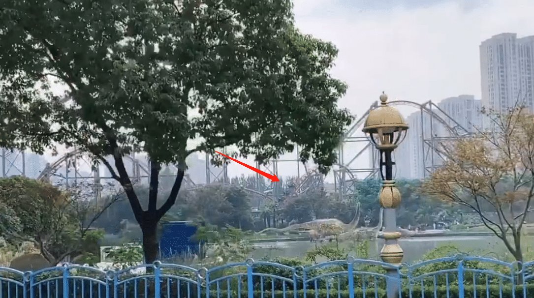 中国女排身高朱婷