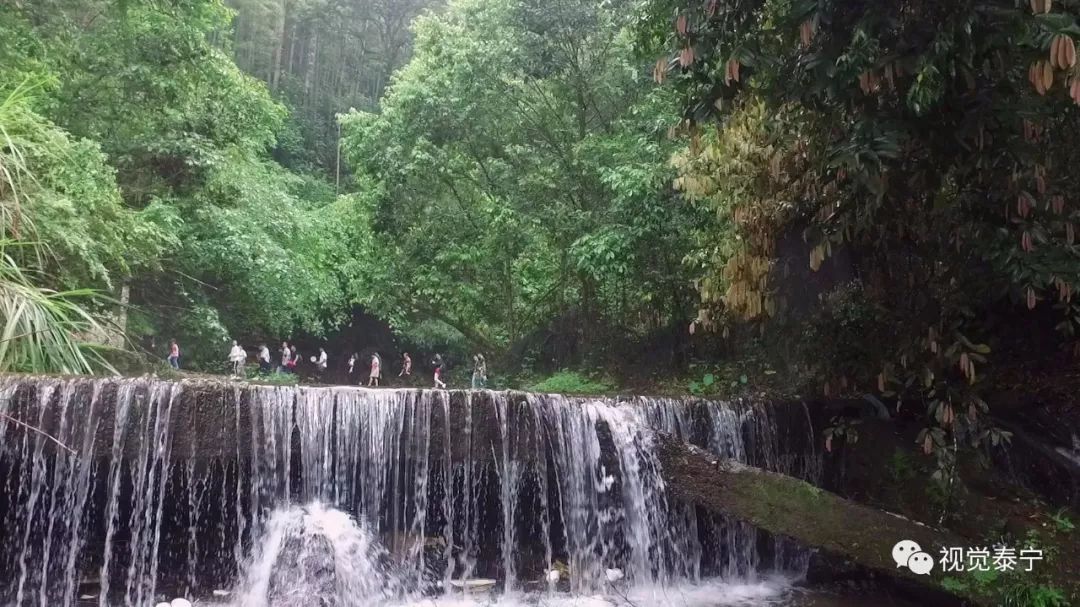 视觉志·泰宁丨央视名嘴性侵,媒体圈底裤有多脏,疫(yi)苗让人牙痒