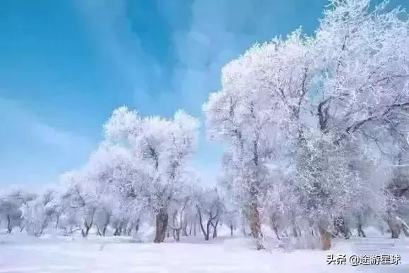 雪后的中国胡杨林，才是真正美爆了!