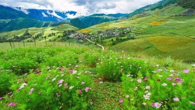 不去天堂，就去雨崩！这里有云淡风轻，这里花开四野……