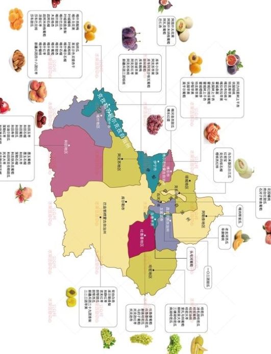  产地：中国最好的水果产地---新疆水果地图