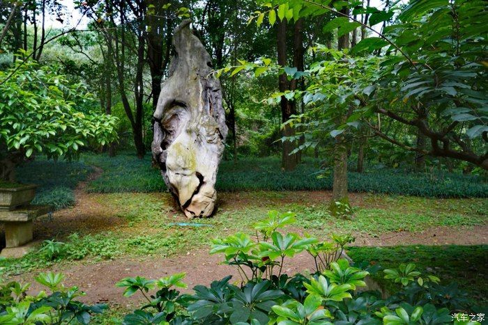 铂金版哈弗H6与您相约，一动一静，哈弗H6与黄果树！