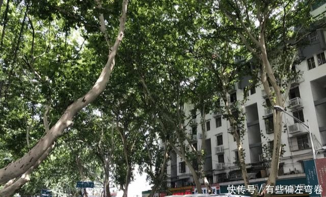 在城市发展方面，武汉与南京相比怎么样