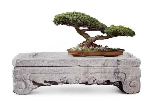  『家具』庭院中的石制家具